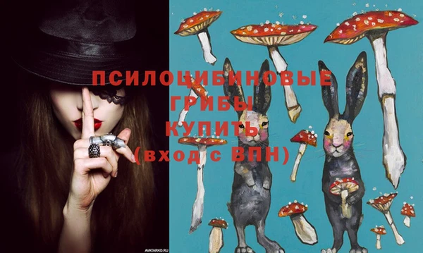 первитин Абинск