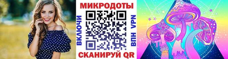 это какой сайт  Гусь-Хрустальный  Псилоцибиновые грибы MAGIC MUSHROOMS 