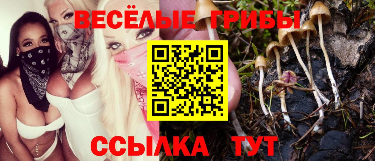 Псилоцибиновые грибы ЛСД Гусь-Хрустальный