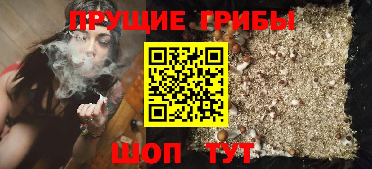 Галлюциногенные грибы ЛСД  Псилоцибиновые грибы Psilocybine cubensis  Вход с VPN  Гусь-Хрустальный 